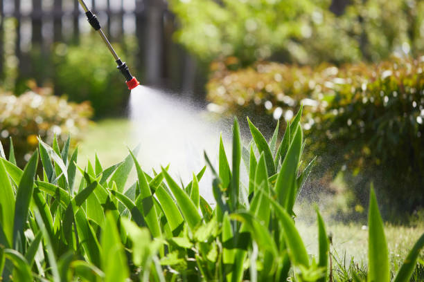 Tamper-Resistant Bait Stations for Rodents in Karnes City