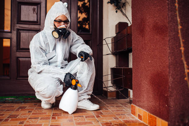 Attic and Crawl Space Rodent Treatment in Karnes City