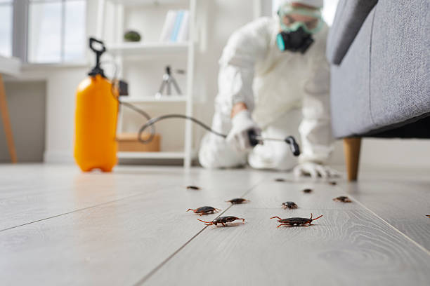 Commercial Rodent Management in Karnes City